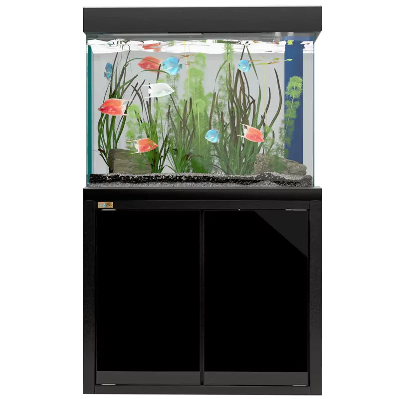 Aqua Dream 100 Gallon Tempered Glass Aquarium