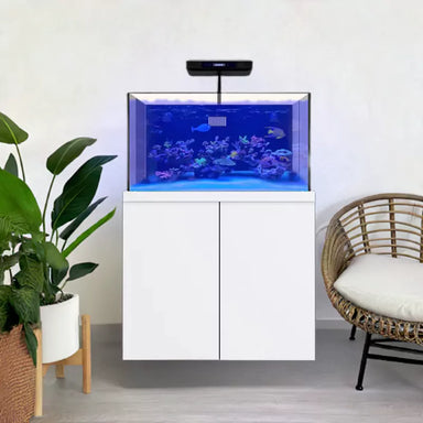 100 Gallon Coral Reef Aquarium Fish Tank Complete Set