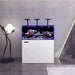 Maxspect Lagoon Smart Aquarium (99 Gallon)