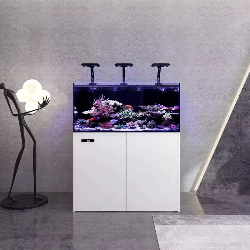 Maxspect Lagoon Smart Aquarium (80 Gallon)