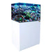 Aqua Dream 100 Gallon Coral Reef Aquarium Ultra Clear Glass Tank & Built in Sump