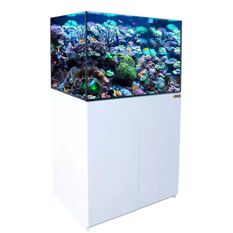 Aqua Dream 100 Gallon Coral Reef Aquarium Ultra Clear Glass Tank & Built in Sump