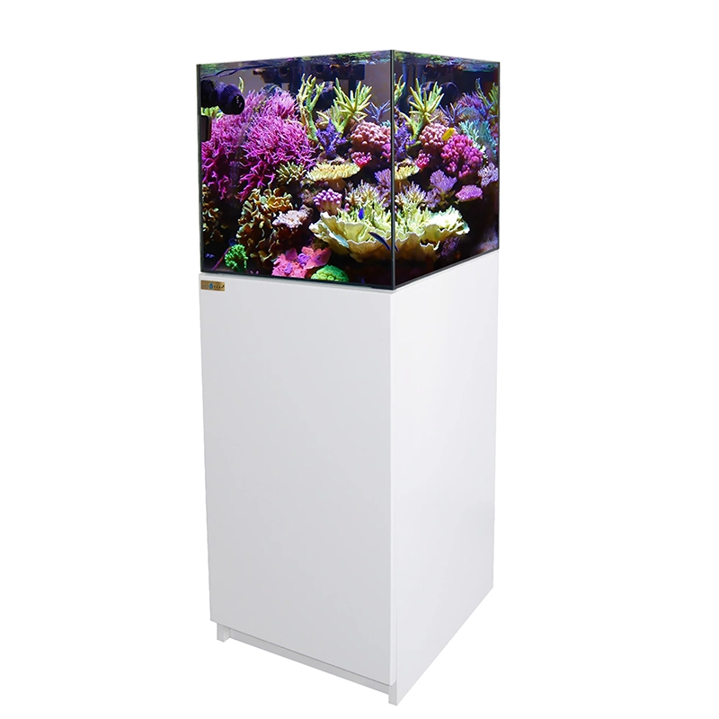 Aqua Dream 50 Gallon Coral Reef Aquarium Ultra Clear Glass Tank & Built in Sump