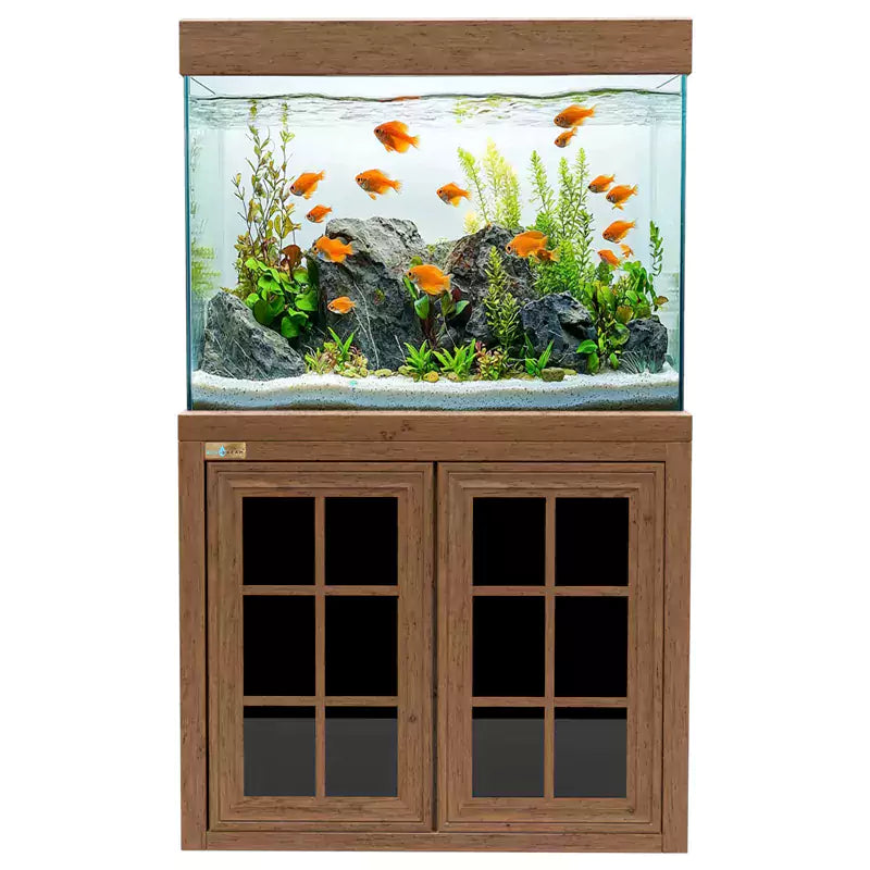 Aqua Dream 100 Gallon Tempered Glass Aquarium