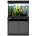 Aqua Dream 50 Gallon Tempered Glass Aquarium