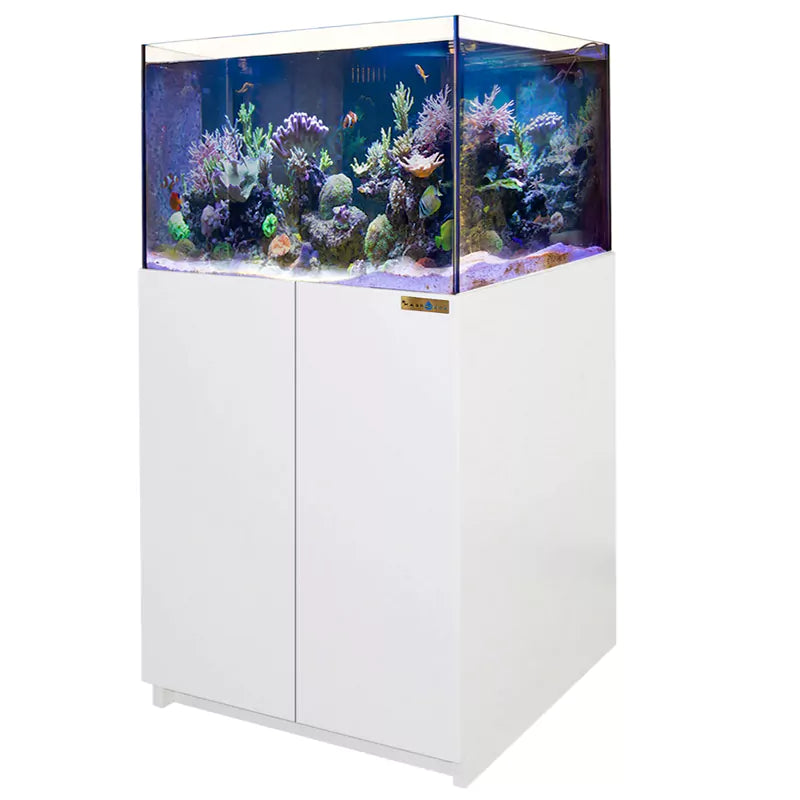 115 Gallon Coral Reef Aquarium Ultra Clear Glass Tank & Built in Sump