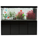 Aqua Dream 230 Gallon Tempered Glass Aquarium