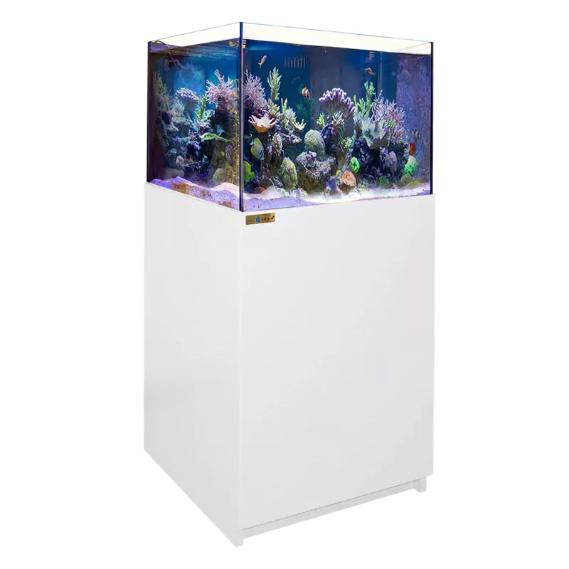 Aqua Dream 90 Gallon Coral Reef Aquarium Ultra Clear Glass Tank & Built in Sump