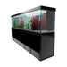 Aqua Dream 500 Gallon Tempered Glass Aquarium
