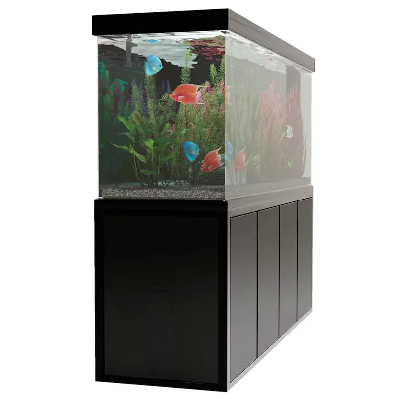 Aqua Dream 230 Gallon Tempered Glass Aquarium