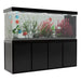 Aqua Dream 230 Gallon Tempered Glass Aquarium