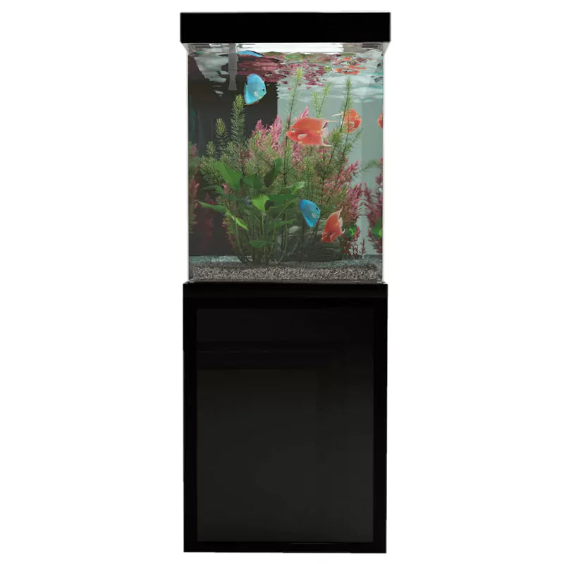 Aqua Dream 230 Gallon Tempered Glass Aquarium