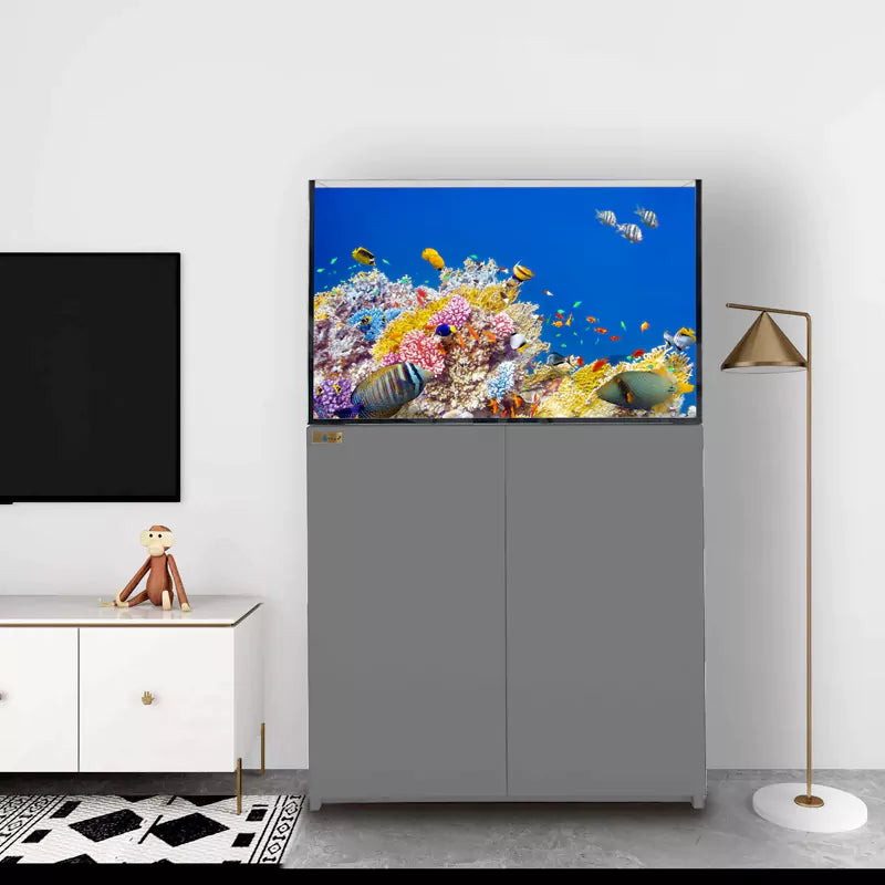Aqua Dream 100 Gallon Coral Reef Aquarium Ultra Clear Glass Tank & Built in Sump