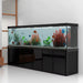 Aqua Dream 500 Gallon Tempered Glass Aquarium
