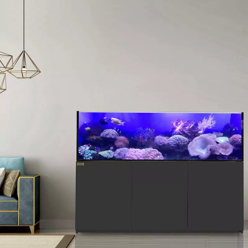 250 Gallon Coral Reef Aquarium Ultra Clear Glass Tank & Built in Sump All Black