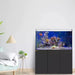 220 Gallon Coral Reef Aquarium Ultra Clear Glass Tank & Built in Sump All Black