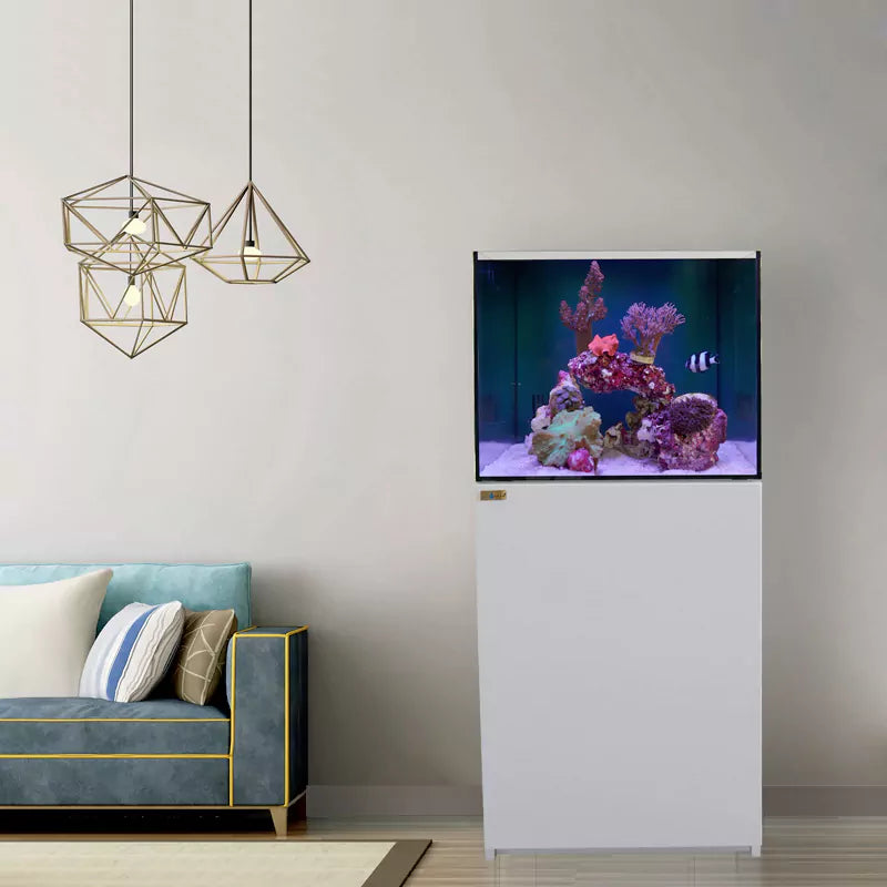 Aqua Dream 90 Gallon Coral Reef Aquarium Ultra Clear Glass Tank & Built in Sump