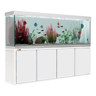 Aqua Dream 260 Gallon Tempered Glass Aquarium