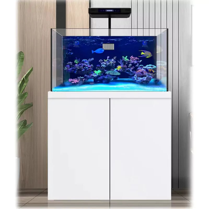 100 Gallon Coral Reef Aquarium Fish Tank Complete Set