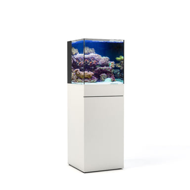 JBJ Rimless Flat Panel  RF-25 Gallon Aquarium + Stand