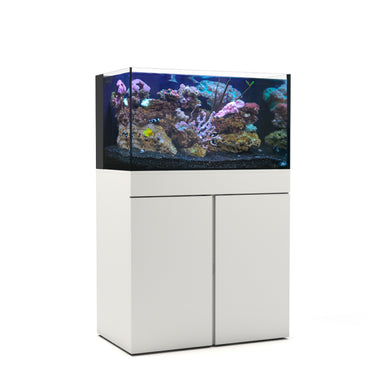 JBJ Rimless Flat Panel  RF-65 Gallon Aquarium + Stand